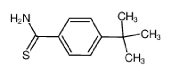 Изображение 4-(tert-Butyl)benzothioamide