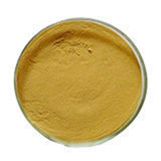 Picture of Ginger extract，Gingerols