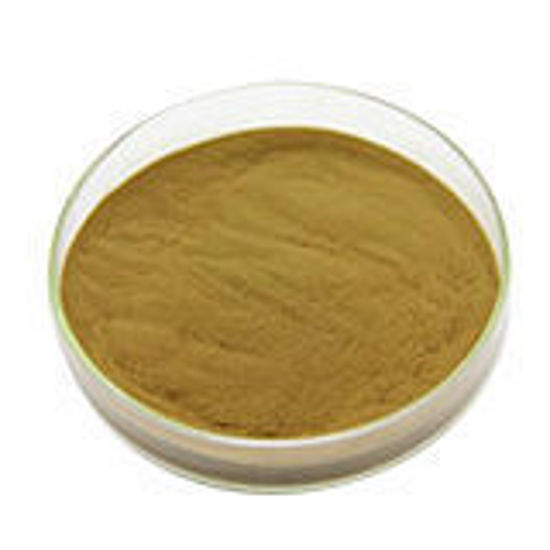 Picture of Dandelion Extract