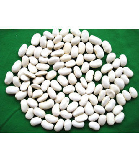 Picture of White Kidney Bean Extract