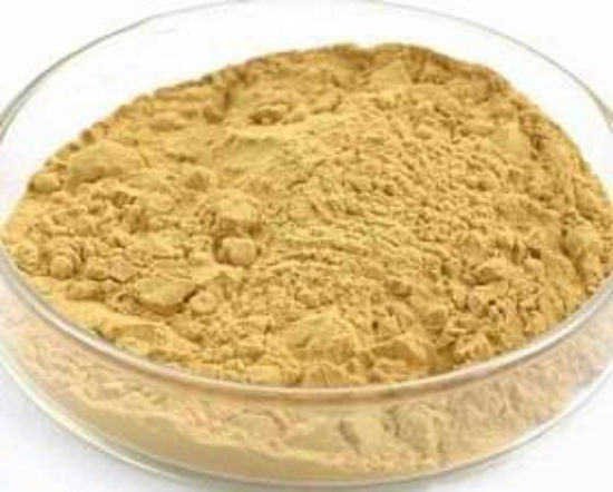 Picture of Honeysuckle extract（HoneySuchle Flowers Extract）