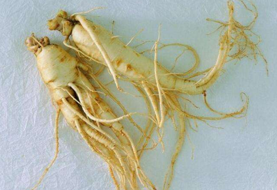 Picture of Ginseng extract