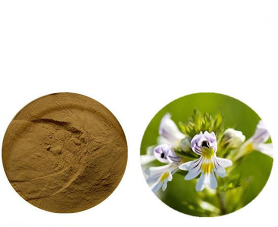 Picture of Eyebright Extract