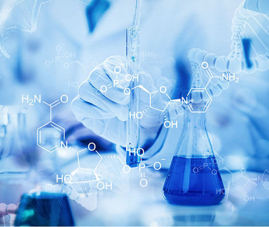 Picture of β-Nicotinamide mononucleotide（NMN）