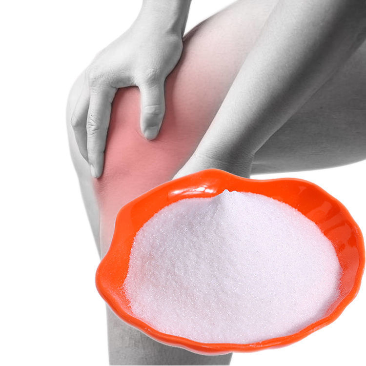 China Low Price Chondroitin Sulfate Sodium Salt Manufacturers