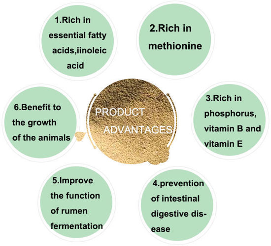 Picture of choline chloride