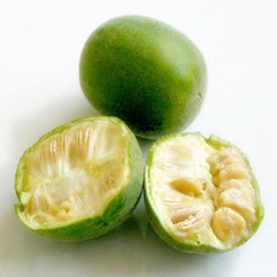 Picture of Monk Fruit Extract，Mogroside V