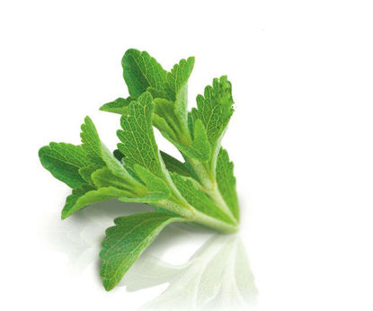 Picture of Stevia Leaf Extract， Herbal Extract，Stevioside