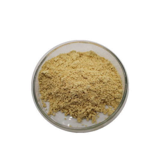 Picture of SawPalmetto extract