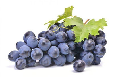 Imagem de Extrato de semente de uva