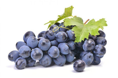 Picture of Grape Seed Extract