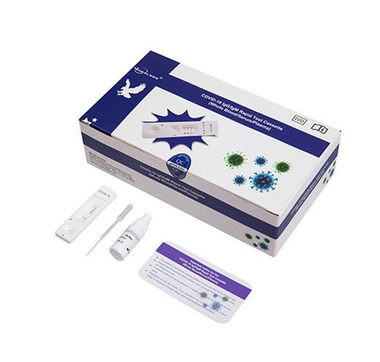 Picture of COVID-19 antigen test  kits